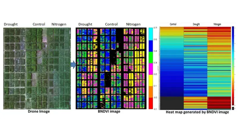 Remote sensing plays a crucial role in providing weather parameters for future accurate predictions and decisions. Remote sensing plays a crucial role in providing weather parameters for future accurate predictions and decisions.