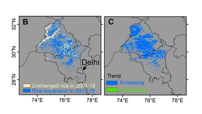 Remote sensing approaches to investigate the agricultural patterns used in the breadbasket of India Remote sensing approaches to investigate the agricultural patterns used in the breadbasket of India