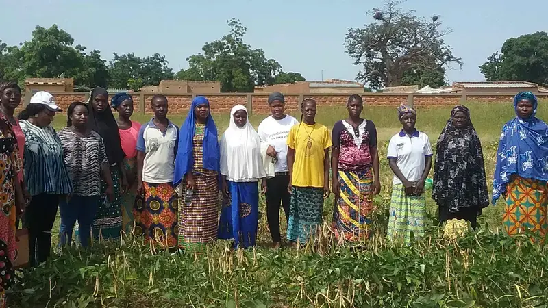 Cowpea farmers in Houet, Burkina Faso Cowpea farmers in Houet, Burkina Faso