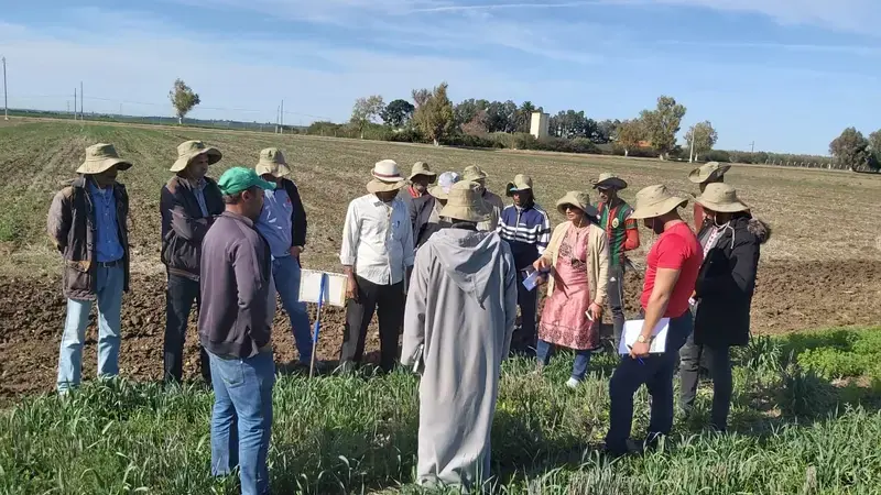 Dr. Mina Devkota describing one of her experiments in diversified cropping systems under conservation agriculture in Marchouch, Morocco. Dr. Mina Devkota describing one of her experiments in diversified cropping systems under conservation agriculture in Marchouch, Morocco.