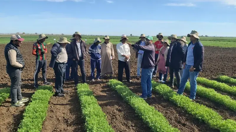 Dr. Devkota describes her lentil/quinoa relay-cropping experiment to Moroccan farmers Dr. Devkota describes her lentil/quinoa relay-cropping experiment to Moroccan farmers