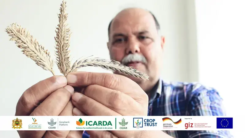 ICARDA-Morocco Genebank Opening ICARDA Morocco Genebank Opening