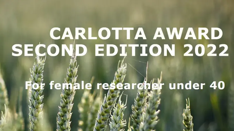 Carlotte Award Carlotte Award