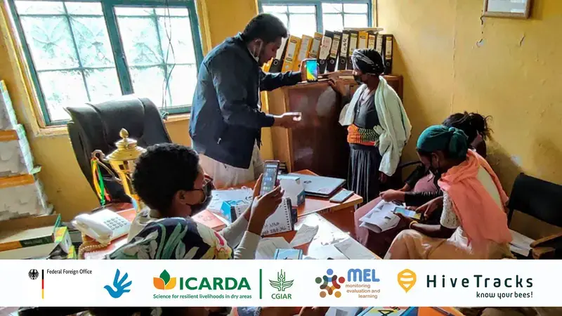 Photo credit: Abebe Jenberie Wubie / International Center of Insect Physiology and Ecology Photo credit: Abebe Jenberie Wubie / International Center of Insect Physiology and Ecology