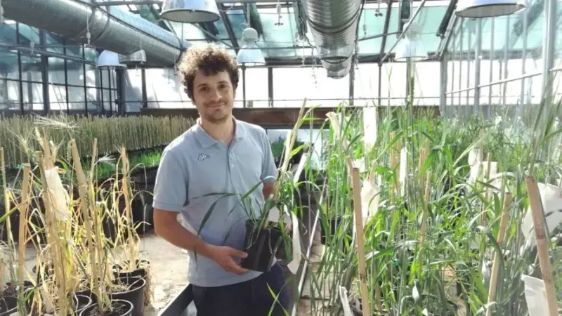 Dr. Damiano Puglisi Dr. Damiano Puglisi
