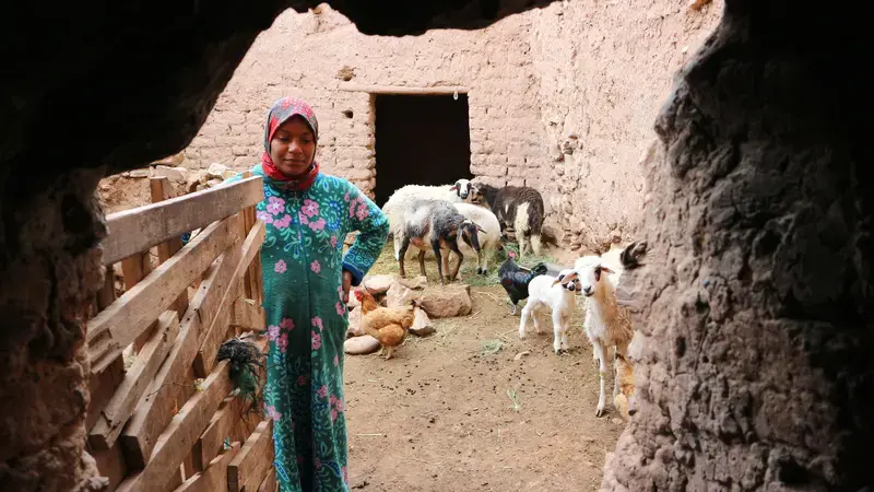 Traditional household in a Moroccan city. Traditional household in a Moroccan city.