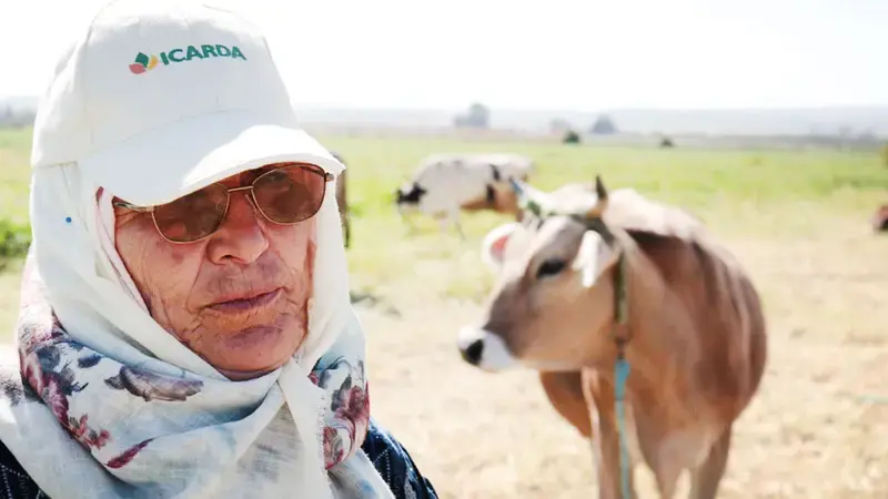 "Photo credit: Zied Idoudi, ICARDA authorized by the data subject." CLCA Header