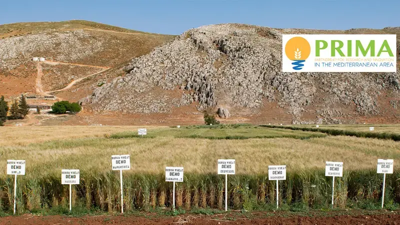 MountainHER project is launched