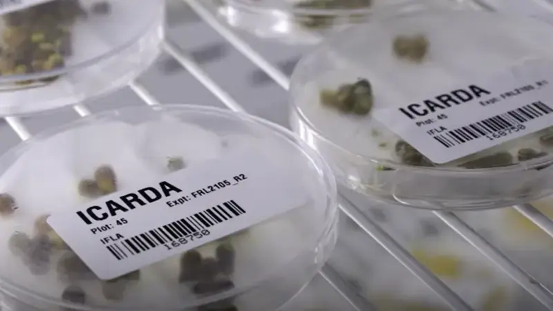 Genebank video (credit: Freethink) Genebank video (credit: Freethink)