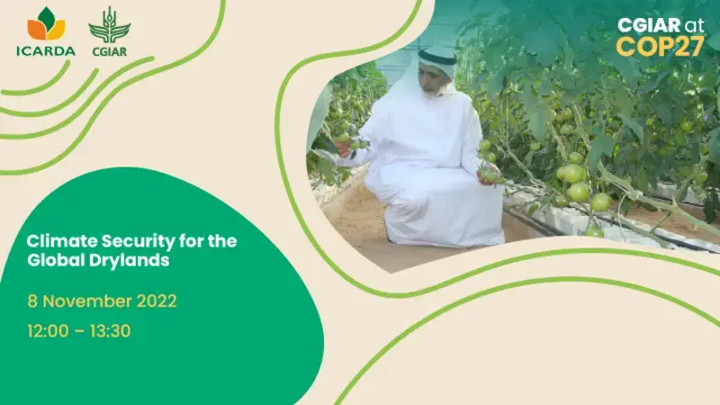 COP27: Climate Security for the Global Drylands Climate Security