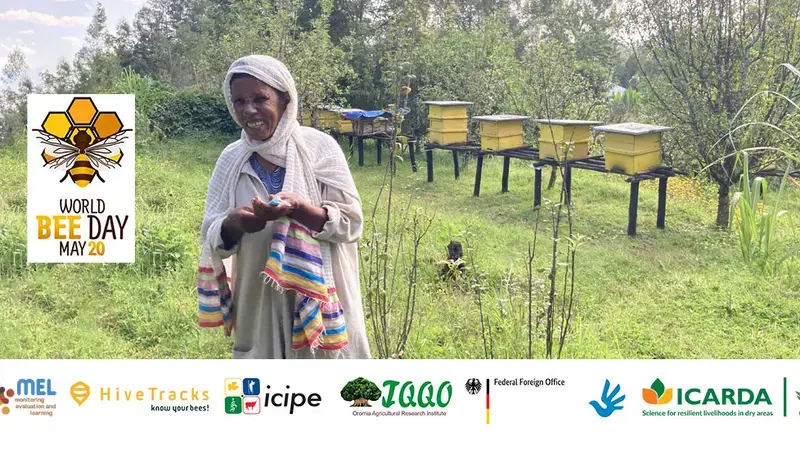 World Day Bee 2023 World Day Bee 2023