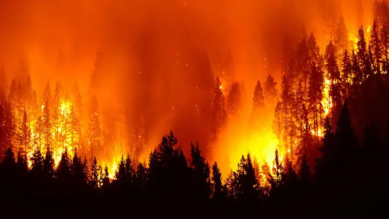 2023 saw a recurrence of last year's heatwaves and fires across the globe 2023 saw a recurrence of last year's heatwaves and fires across the globe
