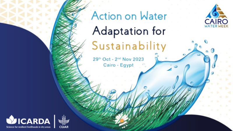 ICARDA at Cairo Water Week 2023