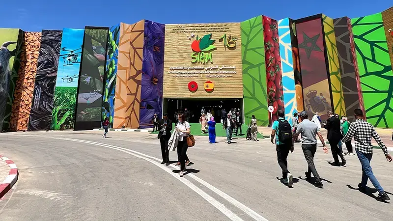 SIAM 2024