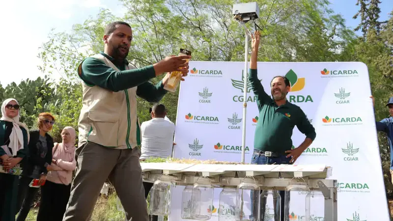 NATAE Field day at El Krib Living Lab in Tunisia Siliana district