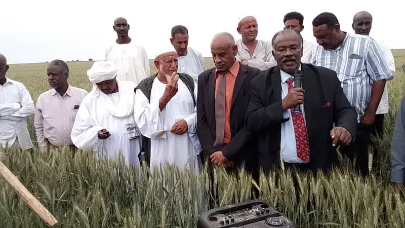 His Excellency (HE) Khider Ramadan, Minister of Agriculture of Kassala State (left) and HE Abu Baker Omer Abushra, Federal Minister of MoA (right) making a statement during the field day. His Excellency (HE) Khider Ramadan, Minister of Agriculture of Kassala State (left) and HE Abu Baker Omer Abushra, Federal Minister of MoA (right) making a statement during the field day.