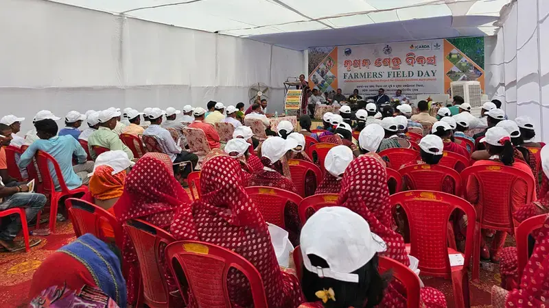 Farmers’ Field Day at Khadiapala, Keonjhar, Odisha, India Photo credit: Ashis Kumar Jena, District Coordinator, IAP project Farmers’ Field Day at Khadiapala, Keonjhar, Odisha, India Photo credit: Ashis Kumar Jena, District Coordinator, IAP project