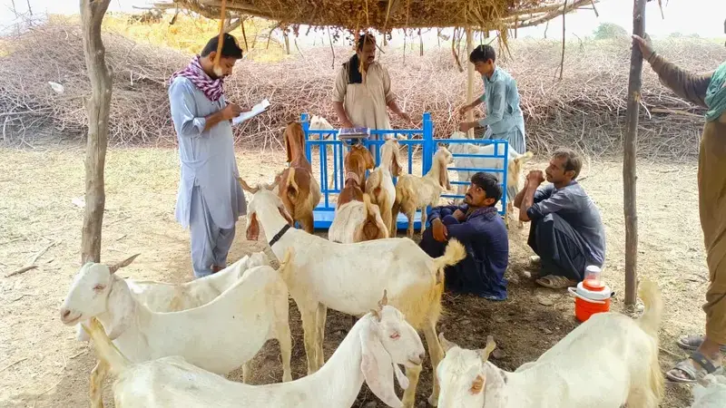 CBBP in Pakistan
