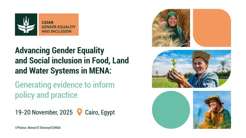 Advancing Gender Equality and Social Inclusion in Food, Land, and Water Systems in MENA: Generating Evidence to Inform Policy and Development Practice