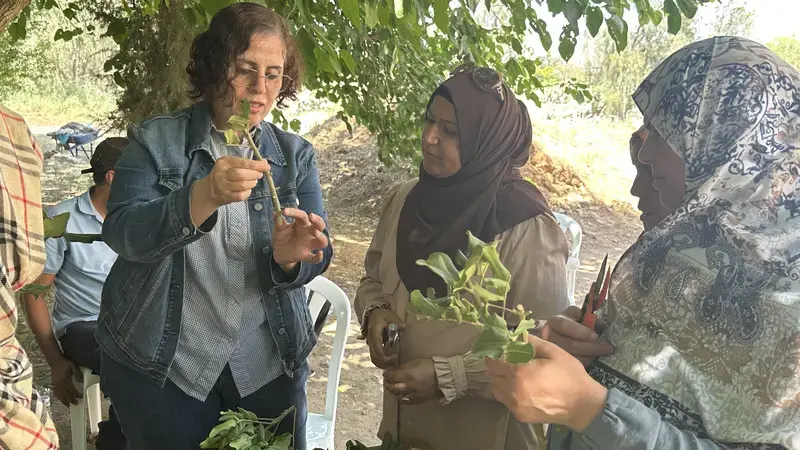 ICARDA’s Dr. Sawsan Hassan with two DGF colleagues participating in the training.