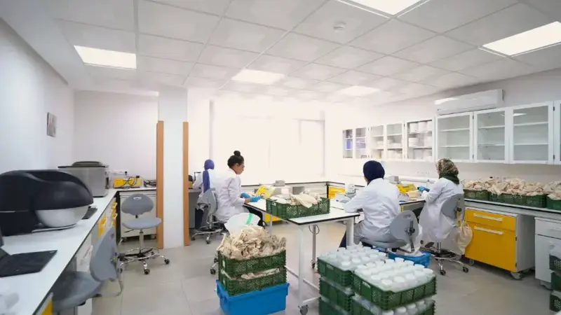 Women Scientists at the Heart of Genetic Diversity Conservation 