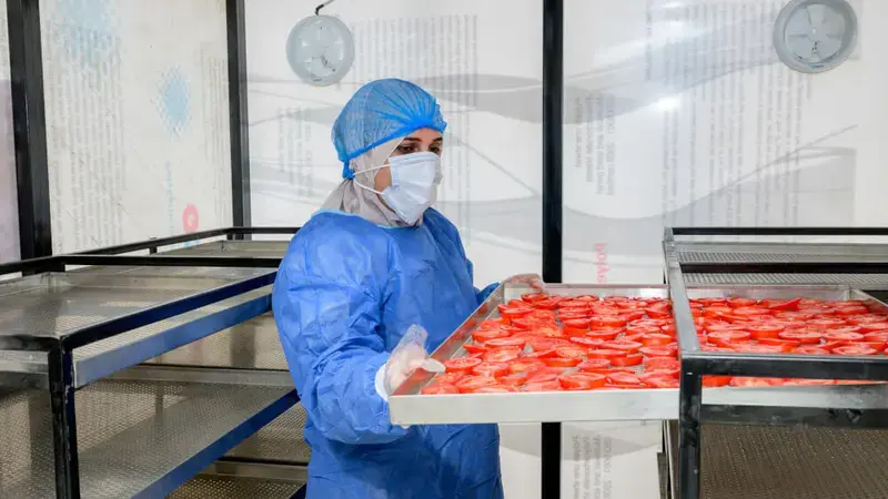 Minya, Egypt | Photo: Ahmed ElSheemy/ICARDA