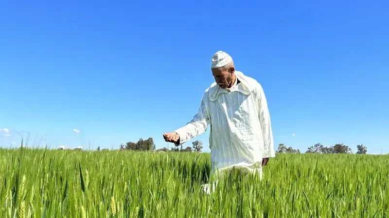 Farmer in a Field - Photo: ICARDA
