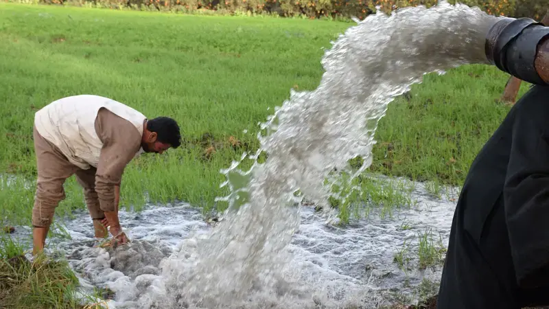 ICARDA works with partners to make ecosystems more resilient in the face of climate change and social challenges ICARDA works with partners to make ecosystems more resilient in the face of climate change and social challenges