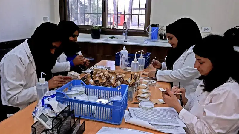 The immense success of ICARDA’s genebank can be attributed to its most precious resource: its staff. (Photo: Katrin Park/ICARDA) The immense success of ICARDA’s genebank can be attributed to its most precious resource: its staff. (Photo: Katrin Park/ICARDA)