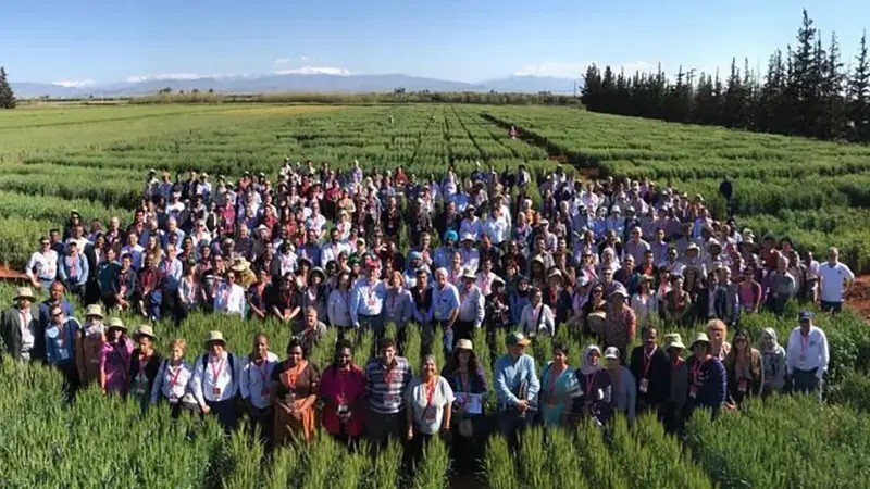 Over 350 experts gather for the Borlaug Global Rust Initiative workshop. Photo: Courtesy of Michael Baum. Over 350 experts gather for the Borlaug Global Rust Initiative workshop. Photo: Courtesy of Michael Baum.