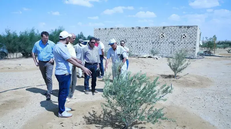 ICARDA team in El-Moghra (Photo: Aladdin Hamwieh) ICARDA team in El-Moghra (Photo: Aladdin Hamwieh)