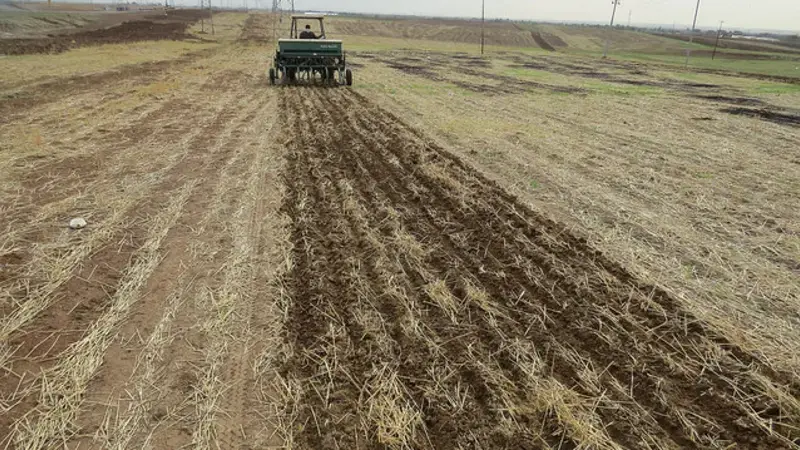 Conservation agriculture is a proven means of stabilizing crop production in water-scarce regions Conservation agriculture is a proven means of stabilizing crop production in water-scarce regions