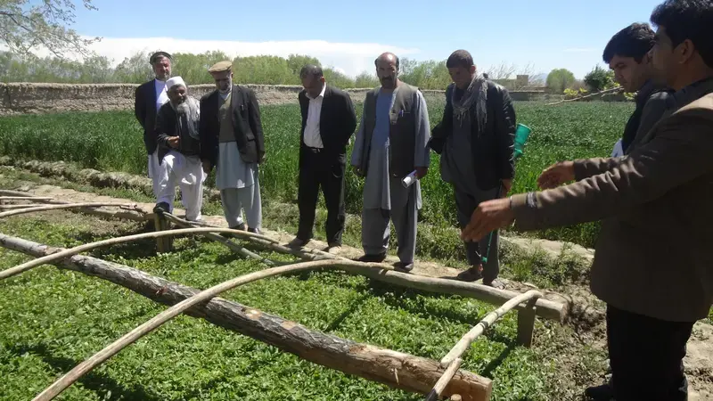 Afghanistan’s Minister of Agriculture commends ICARDA's activities and progress with farmers Afghanistan’s Minister of Agriculture commends ICARDA's activities and progress with farmers