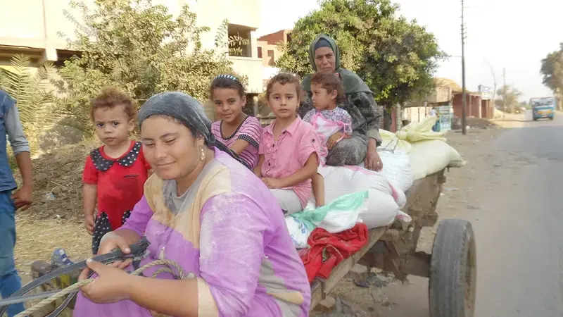 Women in Egypt continue to experience marginalization and widespread constraints. Women in Egypt continue to experience marginalization and widespread constraints.