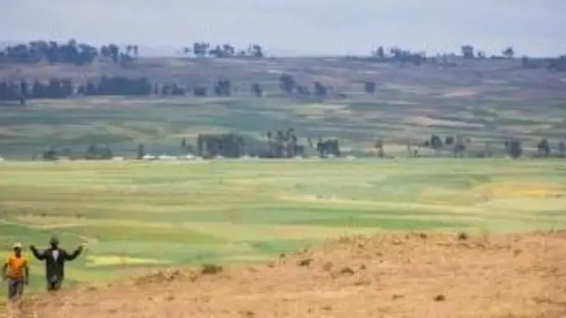 The world's dry areas need quick solutions to achieve food security The world's dry areas need quick solutions to achieve food security