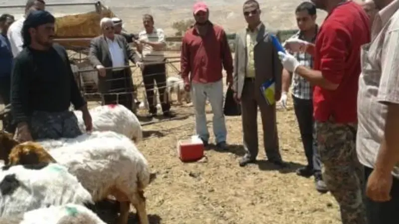 Livestock help strengthen community resilience against the effects of climate change Livestock help strengthen community resilience against the effects of climate change
