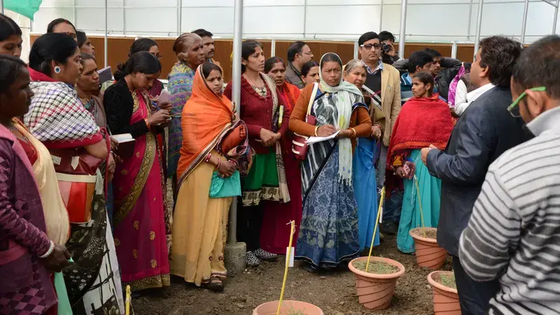 Women farmers learn about pulses technologies, value addition and new ways to earn Women farmers learn about pulses technologies, value addition and new ways to earn