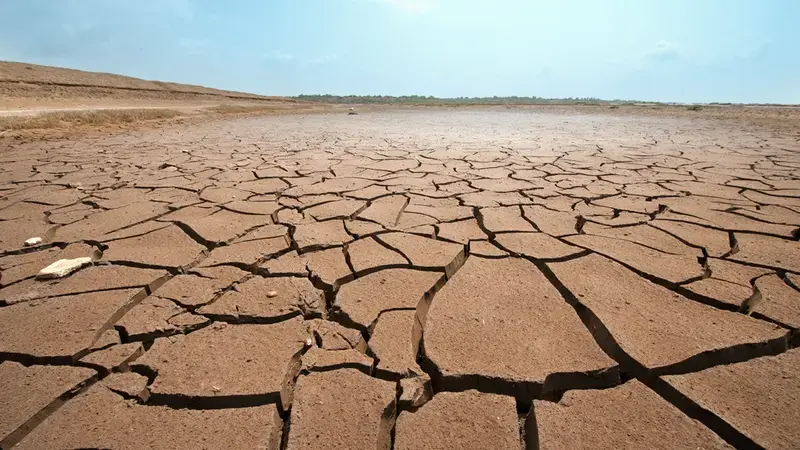 The dry areas are predicted to be badly affected by rising temperatures and water scarcity (photo credit: IWMI) The dry areas are predicted to be badly affected by rising temperatures and water scarcity (photo credit: IWMI)