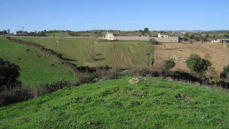 A landscape showing different severity levels of land degradation related to different farming practices (photo credit: Claudio Zucca)