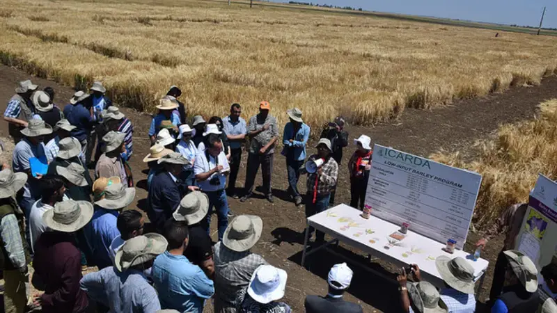 The Marchouch research station near Rabat is host to a model crop improvement program. The Marchouch research station near Rabat is host to a model crop improvement program.