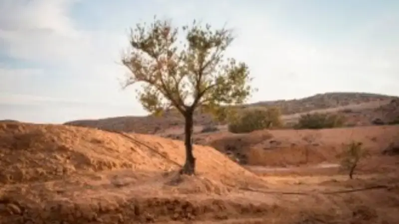 The Mediterranean region – predicted to be among the worst affected by climate change – requires improved technology transfer to farmers. The Mediterranean region – predicted to be among the worst affected by climate change – requires improved technology transfer to farmers.