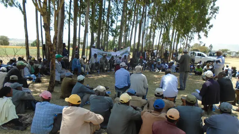 ICARDA and partners organized a field day on faba bean, chickpea and malt barley seed production this past October. ICARDA and partners organized a field day on faba bean, chickpea and malt barley seed production this past October.