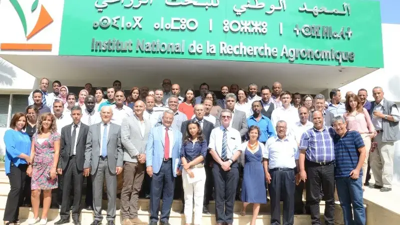 Workshop on Adoption, Impact and Seed System of Wheat in Morocco Workshop on Adoption, Impact and Seed System of Wheat in Morocco