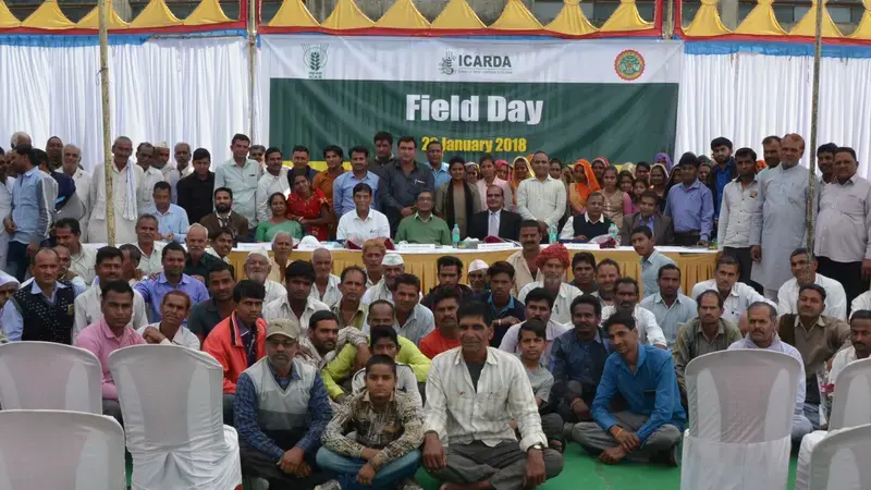 At ICARDA’s Amlaha Station, farmers get a chance to learn about improved varieties and new production technologies At ICARDA’s Amlaha Station, farmers get a chance to learn about improved varieties and new production technologies