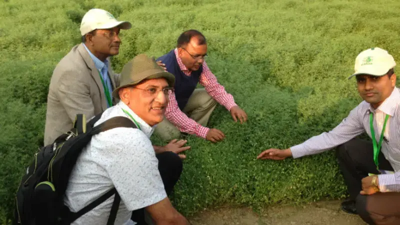 Lentils are an excellent source of nutrition. Lentils are an excellent source of nutrition.