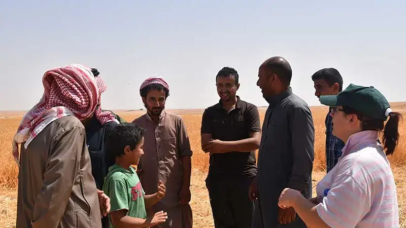 Mrs. Mira Haddad is collecting feedback from local farmers. Photo credit: Sanobar Khudaybergenova, ICARDA. Mrs. Mira Haddad is collecting feedback from local farmers. Photo credit: Sanobar Khudaybergenova, ICARDA.