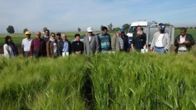 Scientists highlighted the achievements of recent research and identified needs for the coming season. Scientists highlighted the achievements of recent research and identified needs for the coming season.