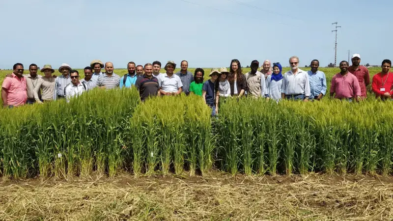 Participants attended a three-week training comprising theoretical and practical sessions. Photo: Courtesy of Wuletaw Tadesse Participants attended a three-week training comprising theoretical and practical sessions. Photo: Courtesy of Wuletaw Tadesse
