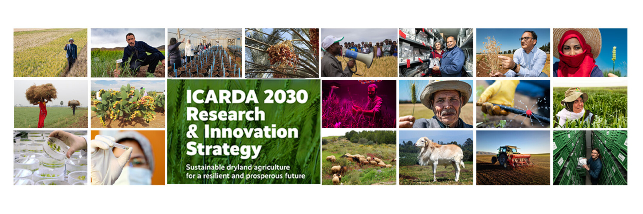 ICARDA 2030 Strategy ICARDA 2030 Strategy