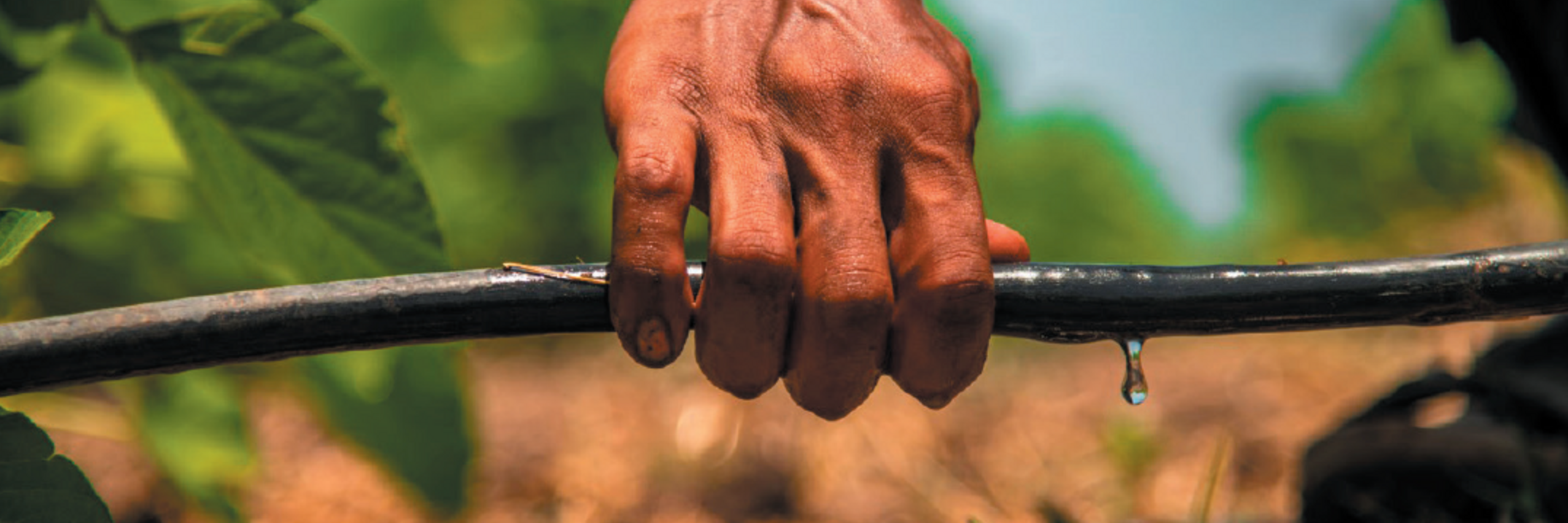 ULE Drip Irrigation ULE Drip Irrigation